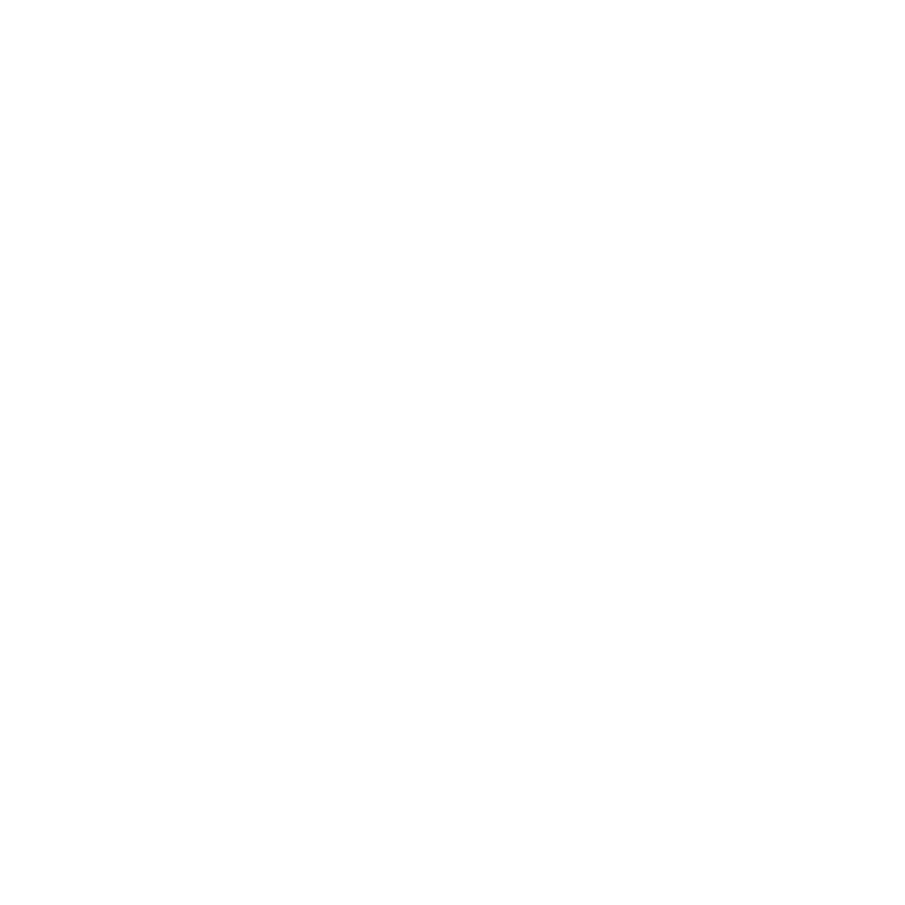 API Provide Logo